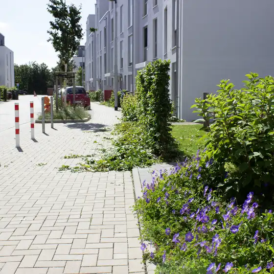 Ein Gehweg mit Grünfläche