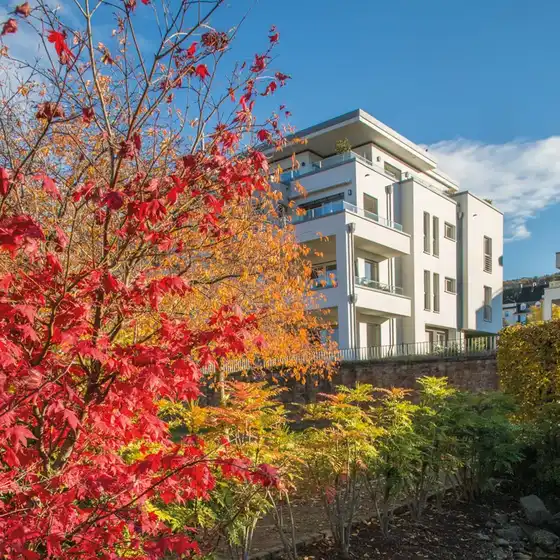 Ein Gebäude mit einem herbstlich gefärbten Laubbaum