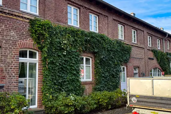Hauswand nach dem Rückschnitt des Weines. Ordentliche Backsteinhauswand, mit zurückgeschnittenem Wein