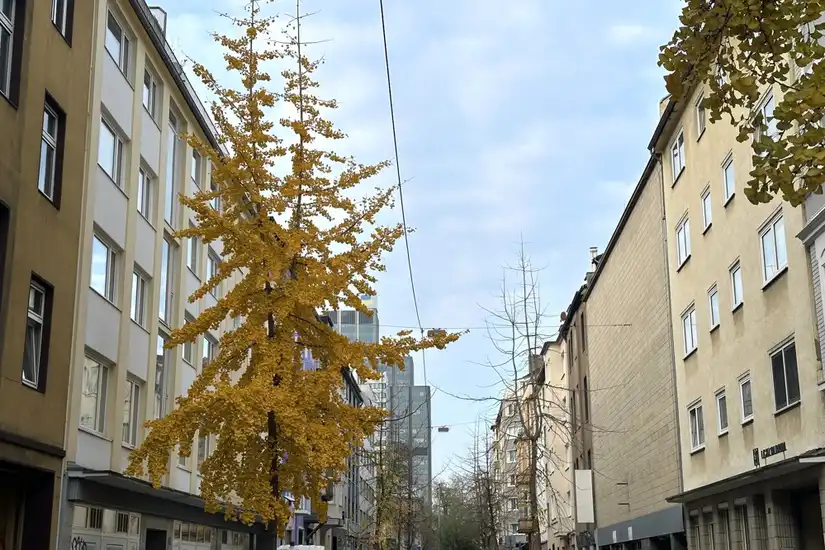 Straße