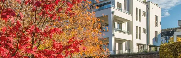 Ein Gebäude mit einem herbstlich gefärbten Laubbaum