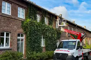 raumgut Mitarbeiter auf dem Steiger vor bewachsener Hauswand. Rückschnitt des Weines 